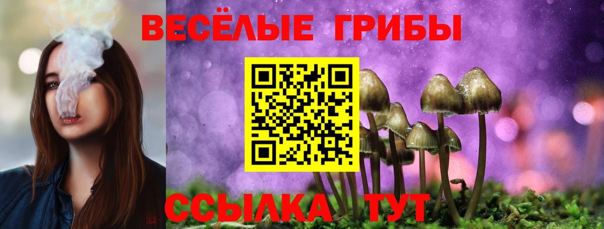 купить   Галлюциногенные грибы мухоморы  Псилоцибиновые грибы Magic Shrooms  Вход с VPN  Дзержинск 